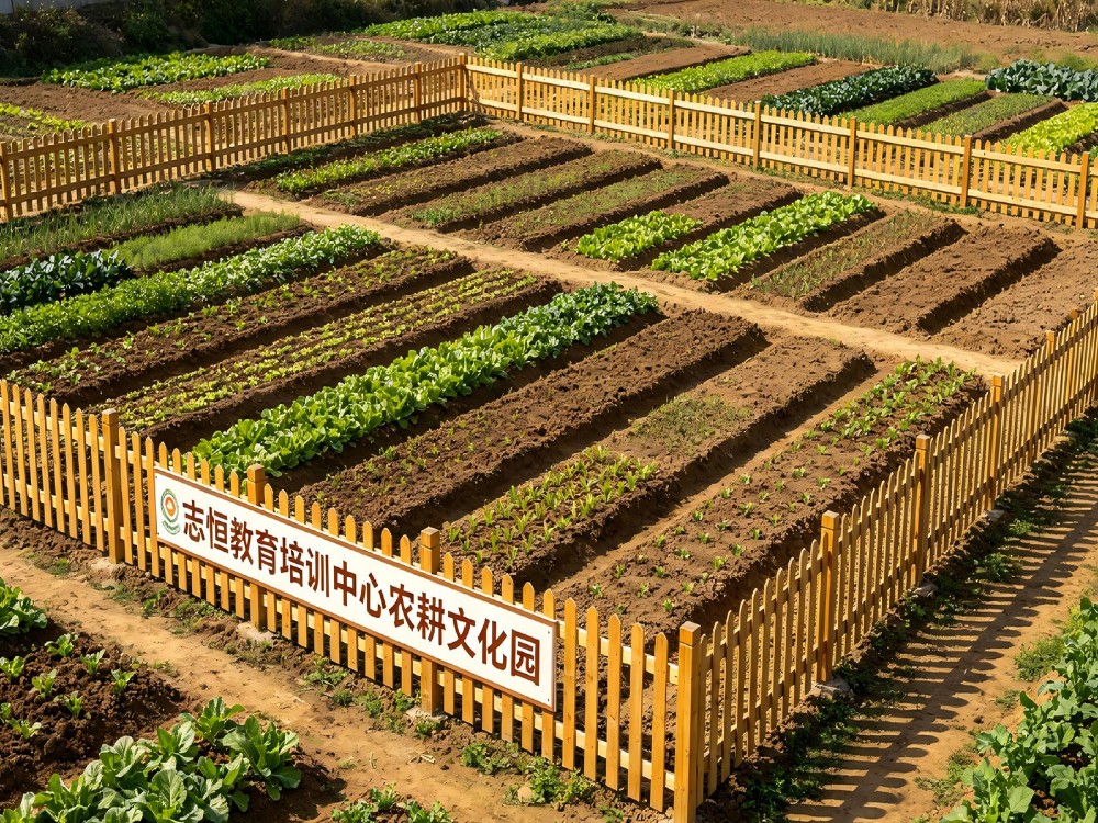 2026精选广安比较好的叛逆孩子管教学校推荐